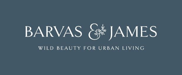 Barvas & James